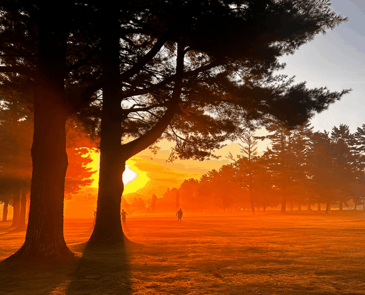 Maplewood sunrise
