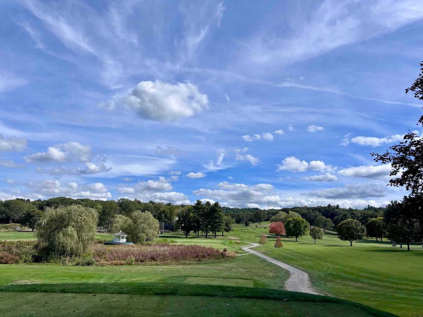 Sandy Burr hole 5 tee