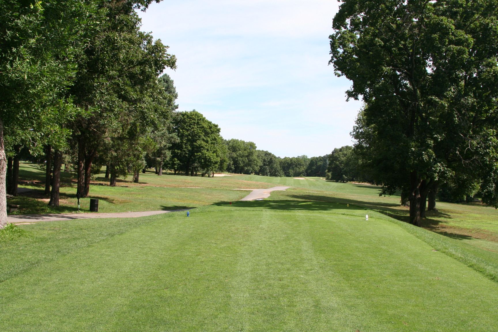 Triggs Memorial 10th tee
